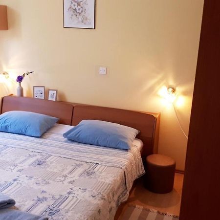 Apartment Neda Z-Velika Okucnica, Besplatni Parking I Opticki Wi-Fi Labin  Exteriér fotografie